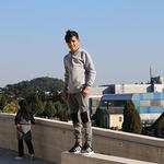 Islam-Ausstellung auf der Schallaburg / Steininger